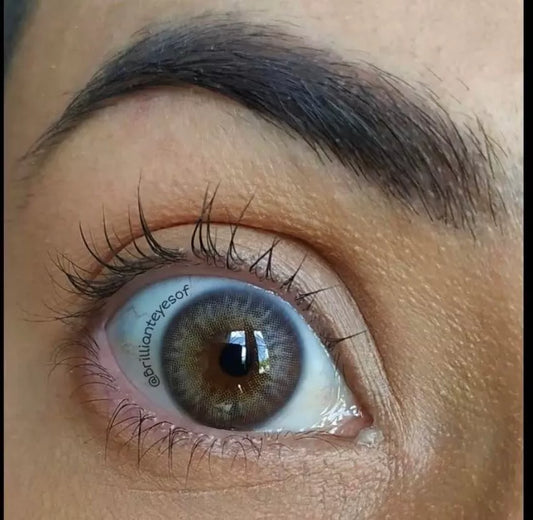 Havana Gray